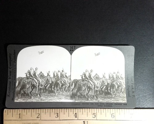 French cavalry army airplane - cavalry,